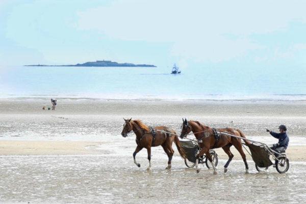 Mobile-Home 100M Plage Utah Mme Surget Sainte-Marie-du-Mont  Εξωτερικό φωτογραφία
